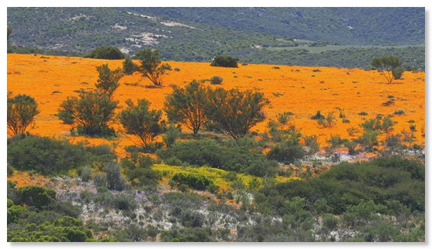 Afrique Australe Ep 2 02