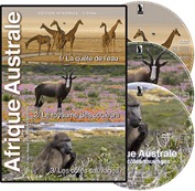 triple DVD Afrique