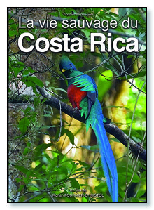 Affichette DVD Costa Rica