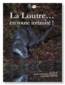 Affiche Loutre petite RVB