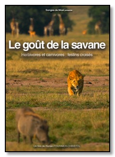 Affiche Gout savane VF petit