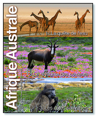 Affiche Afrique 3 films FR