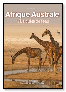 affiche Afrique Quete RVB