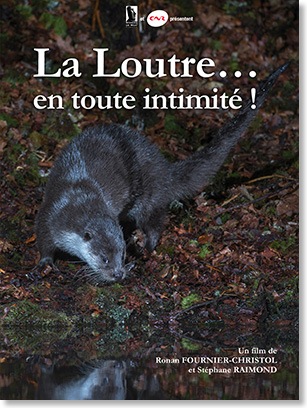 Affiche Loutre petite RVB