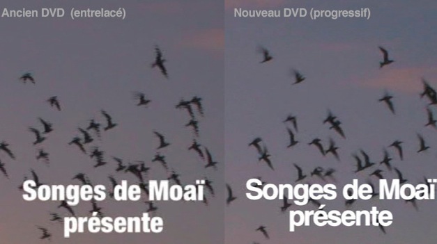 Comparatif DVD LSDPA