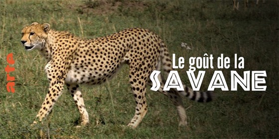 Le gout de la savane Arte copie