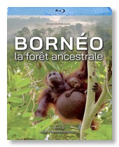 BD Bornéo