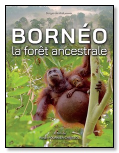 Affiche Blu-ray Bornéo petite